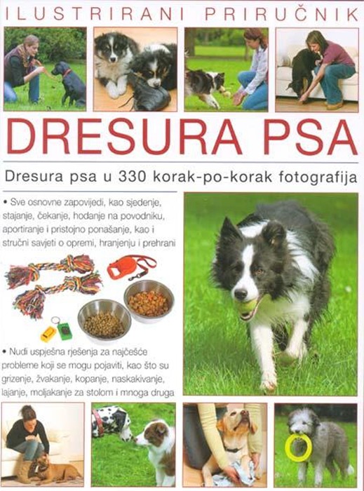 Dresura pasa