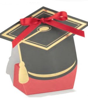 Kutija matura 60X40X95, 16931 FLO