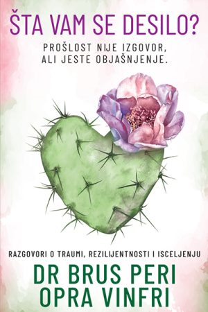 Šta vam se desilo?