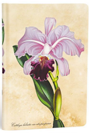 Rokovnik Painted Botanicals Brazilian Orchid Mini