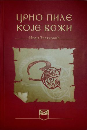 Crno pile koje bježi