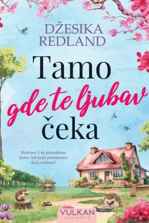 Tamo gde te ljubav čeka (SL)